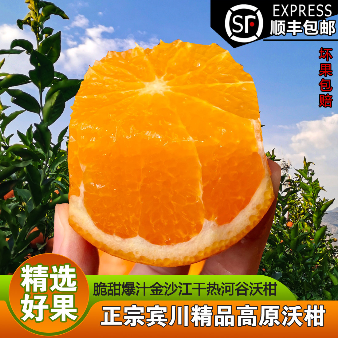 云南宾川精品高原沃柑新鲜水果脆甜爆汁精选好果特产沃柑一整箱