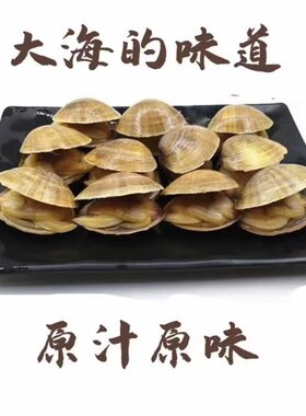 原汁新鲜蚬子肉蛤蜊肉冷冻蚬子即食真空丹东大黄蚬子特大花甲鲜活