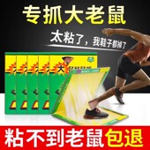 强力粘鼠板加大加厚老鼠贴厨房家用沾鼠黏胶大老鼠贴捕鼠神器非药