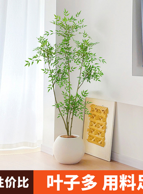 Z1南天竹彷真绿色植物大型彷生植物高端轻奢假盆栽客厅装饰摆件花