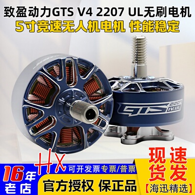 致盈动力GTSV42207UL电机2025