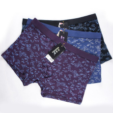 Slip Moyen-âge doux - Ref 640988 Image 17