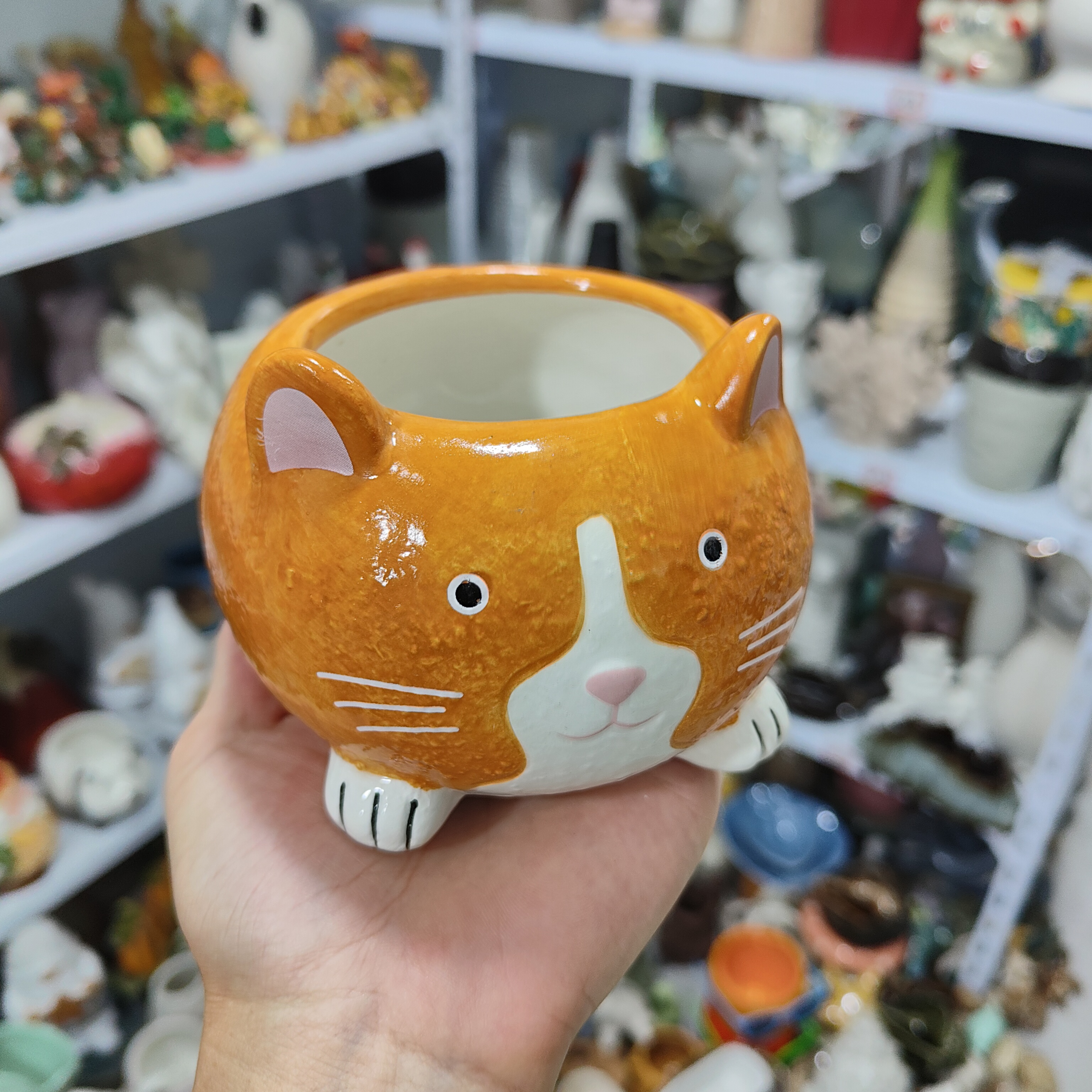 非偏远地区凑满19包邮部分瑕/猫置物盆摆件花盆