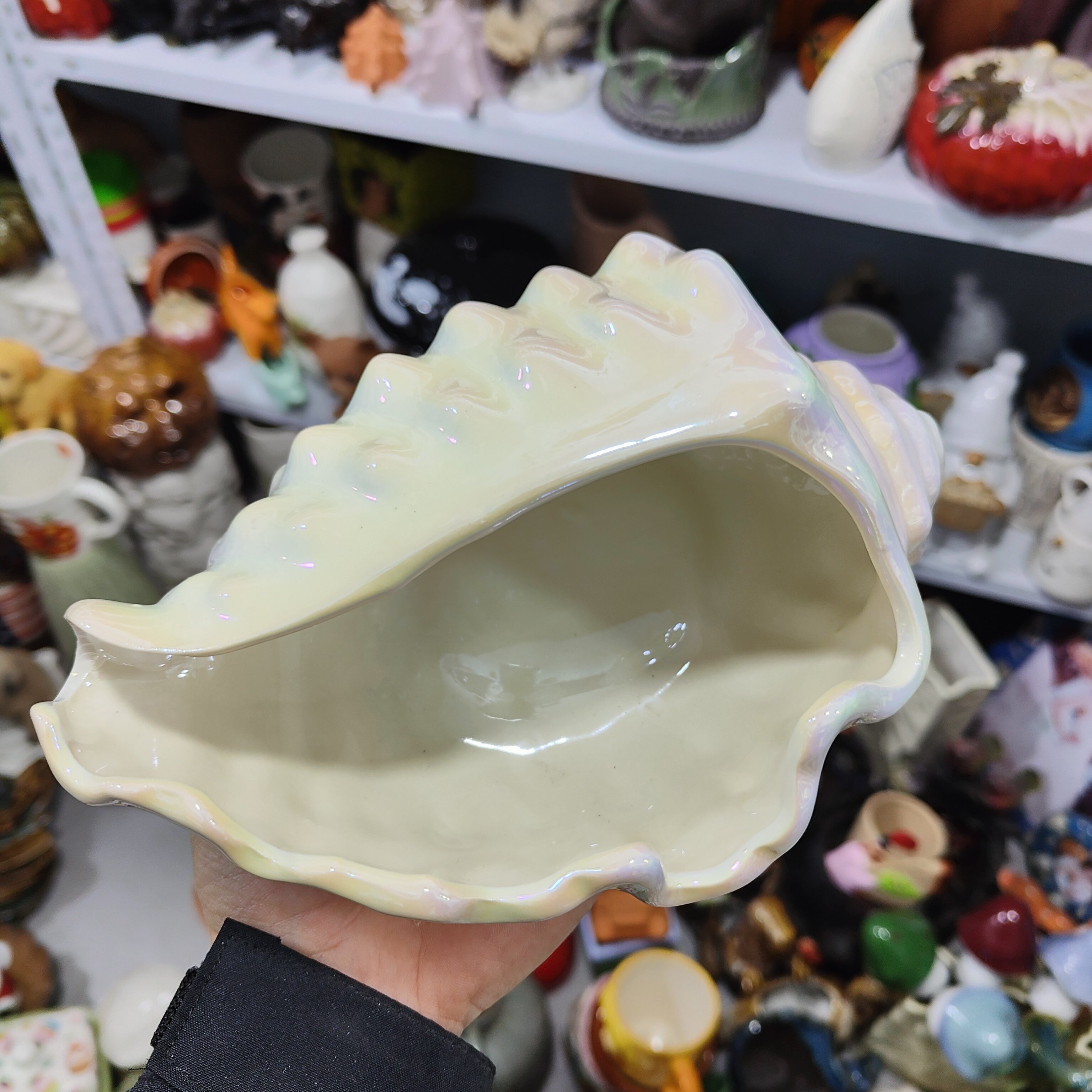 陶瓷高温珠光釉海螺置物盆摆件玄关钥匙收纳盆水培植物,家居饰品,婚庆/商业花艺,淘宝优惠券,粉丝福利购,淘宝优惠卷