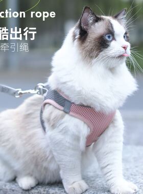 Breathable Cat Harness Leash Escape Proof Pet Clothes vest