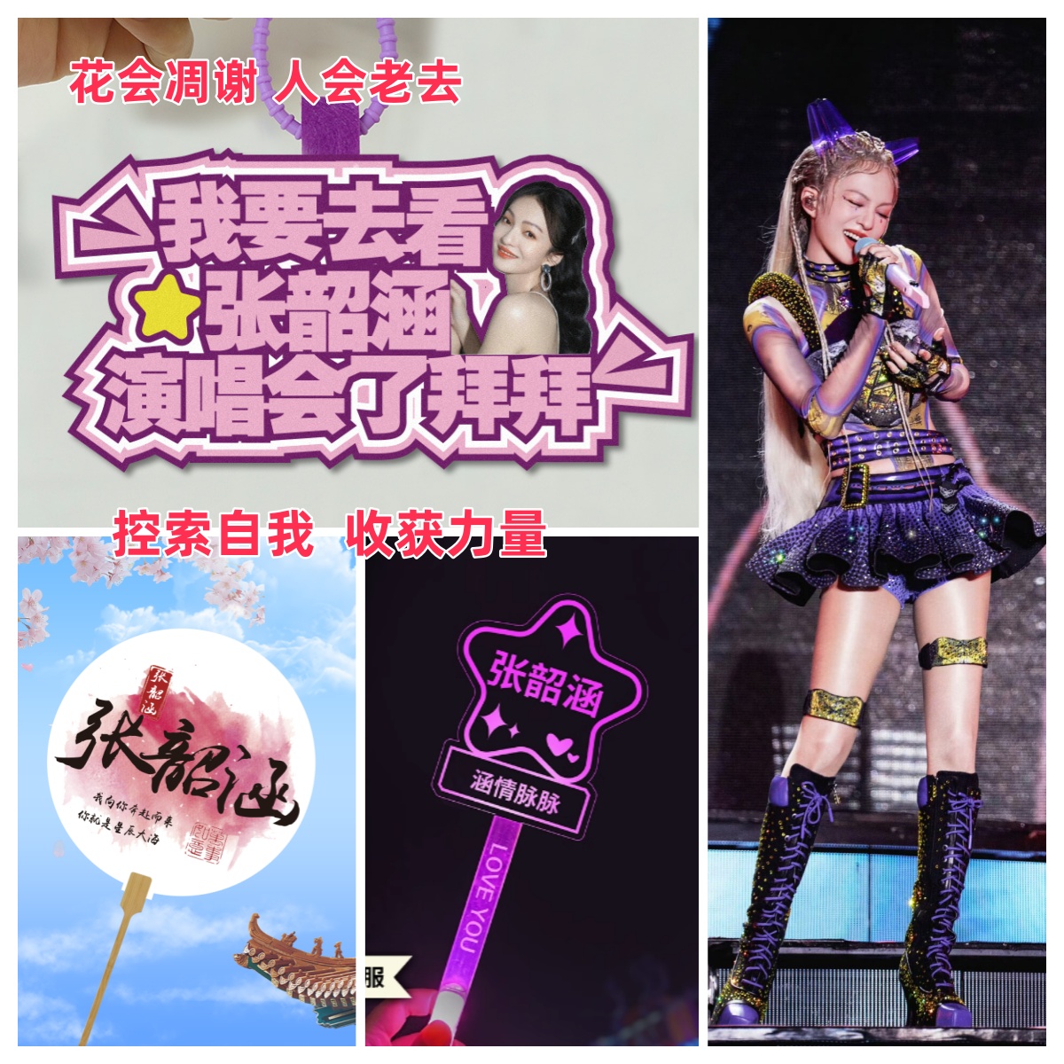 张韶涵演唱会荧光棒应援棒