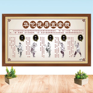 华佗五禽戏挂图养生馆健身文化宣传装饰画中医强身保健海报墙贴图