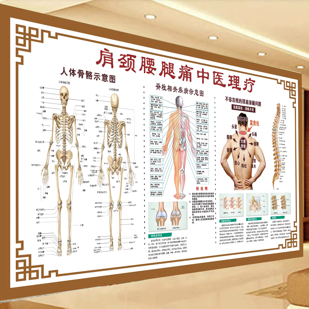 肩颈腰腿疼大海报宣传中医养生理疗装饰画颈肩腰腿痛挂图自粘画