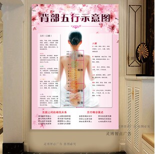 养生海报美容馆装饰广告宣传画挂图KT板子定制背部五行经络示意图