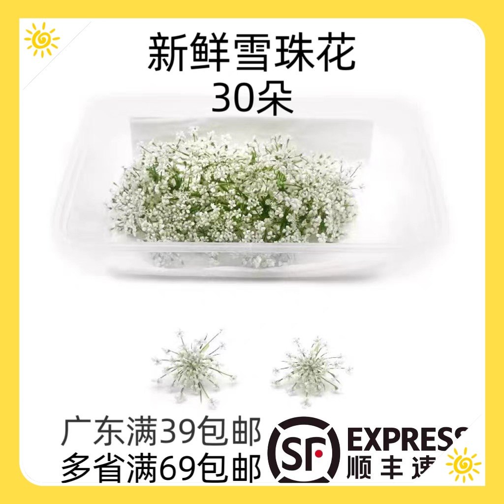雪珠花蕾丝花西餐日料蛋糕摆盘