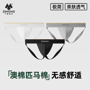 子墨丁字裤男士双丁内裤提臀超性感白色情趣情调男款低腰性张力