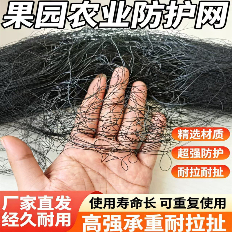 果园农业防护网防鸟网高强承重耐鱼网/虾笼/其它渔具