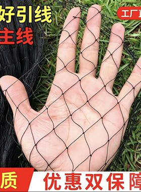 辣条专用双结加防蛇专用网黑色长虫柔软耐用大虫网渔网防蛇尼龙网