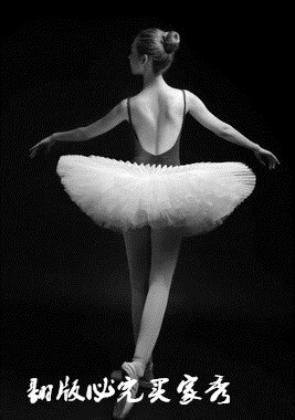 芭蕾舞裙成人舞蹈裙纱裙白蓬蓬天鹅湖下半身硬纱裙TUTU