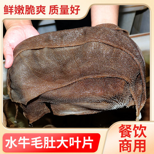 火锅食材水牛毛肚大叶片唯林舍
