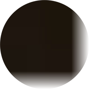 LB俄罗斯大列巴面包黑全麦早餐代餐无糖精粗粮新疆官方旗舰店