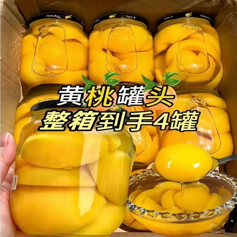 GJR黄桃罐头正品整箱新鲜杨梅桔子枇杷糖水水果菠萝烘焙专用餐饮,水产肉类/新鲜蔬果/熟食,蔬菜罐头,淘宝优惠券,粉丝福利购,淘宝优惠卷