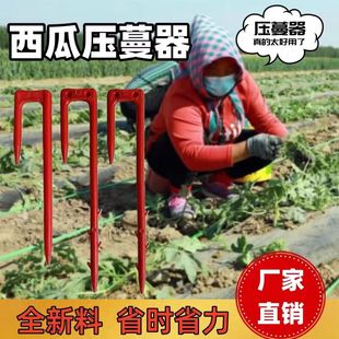 西瓜叉子压蔓器固定器草莓甜瓜育定苗压苗藤蔓定植器走茎固定叉子