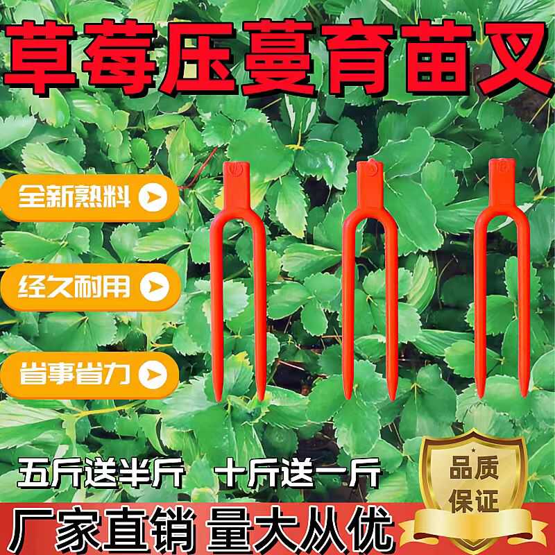 草莓压苗叉草莓育苗大棚压苗叉藤蔓草莓固定器草莓塑料叉子压蔓器