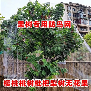 果树果园尼龙防鸟网樱桃蓝莓葡萄稻谷防鸟用网罩阳台鱼塘养殖天网