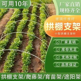 拱棚支架玻璃纤维保温育苗种菜爬藤杆菜地膜防雨拱杆实心大棚拱架