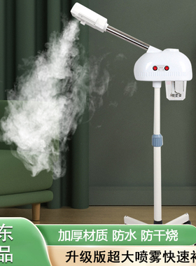 泰东热喷仪美容院专用冷热双喷雾蒸脸器打开毛孔脸部补水疗仪家用