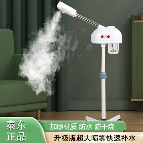 泰东冷热美容院补水疗仪喷雾机