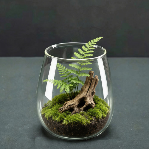 绿萝透明水生植物植物容器