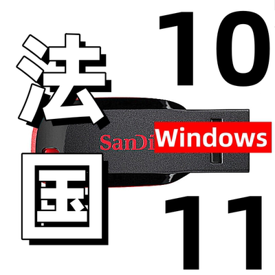 windows 10 win 11 法文法语 win11 win10 法国 法版 系统安装u盘