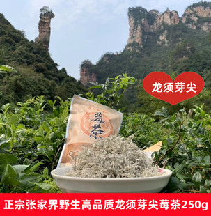 养生莓茶张家界龙须芽尖茅岩河特级正品长寿土家藤茶250g天然营养