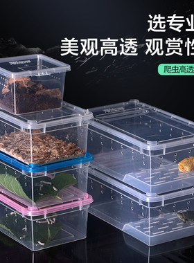 爬虫蜘蛛守宫蜥蜴蜈蚣两栖蚕宝宝