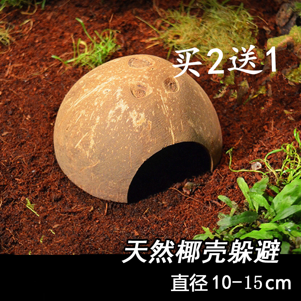 天然椰壳躲避洞穴守宫蛇乌龟水龟捕鸟蛛蜘蝎子蜈蚣躲避屋洞穴包邮