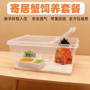 寄居蟹饲养箱盒相手蟹沙蟹饲养盒寄居蟹饲养缸套装桌面宠物饲养