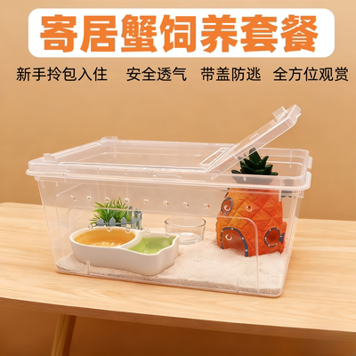 寄居蟹饲养箱盒相手蟹沙蟹饲养盒寄居蟹饲养缸套装桌面宠物饲养