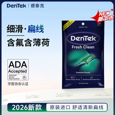 2026新款Dentek德泰克超薄扁线