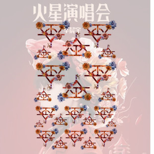 华晨宇脸贴  花花纹身贴 2023火星演唱会贴纸 买一送一后援团防水