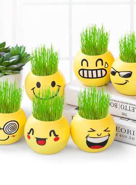 迷你长草娃娃盆栽草头桌面diy