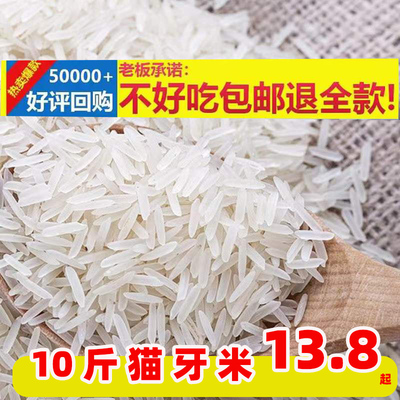 正宗2025年泰国茉莉猫牙长粒香米