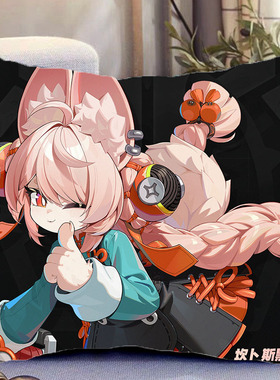 照周边双面抱枕绝区零照片带枕芯靠枕靠垫睡觉枕头套生日礼物定制