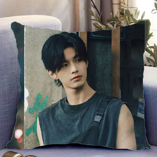 何与周边双面抱枕双轨靳朝照片带枕芯靠枕靠垫枕头生日礼物可定制