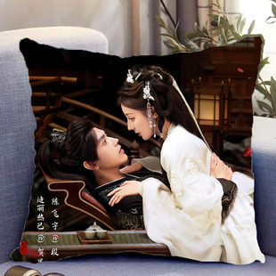 白日提灯周边双面抱枕迪丽热巴贺思慕陈飞宇段胥带枕芯礼物可定制