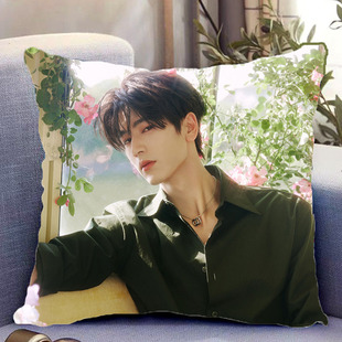 张凌赫周边双面抱枕樱桃琥珀蒋峤西照片带枕芯靠枕垫枕头礼物定制