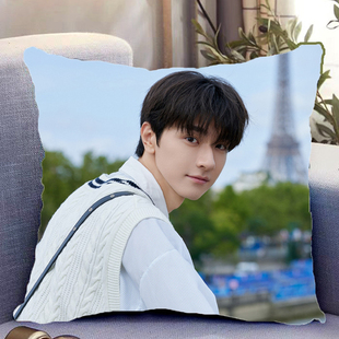 林一周边双面抱枕人物照片同款靠枕靠垫带枕芯枕头生日礼物可定制