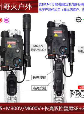 AXON TAPS长亮双控鼠尾红/绿激光指示器M300V/M600V侧翻手电MLOK