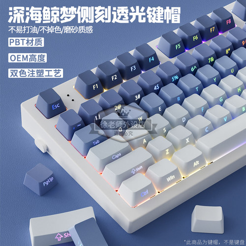 深海鲸梦侧刻透光键帽OEM高度PBT