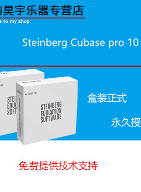 Steinberg Cubase pro 11完整版 商业版 录音编曲软件包邮