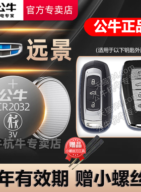 适用吉利远景X6 X3 S1 SUV汽车钥匙遥控器纽扣电池电磁电子CR2032适用16 17年18 19 2020 21 22 23年新老款