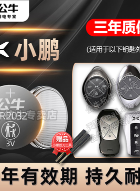 适用小鹏P7 P5 G3 G6 G9 G3I X9汽车钥匙电池CR2032专用智能遥控器纽扣电子2020 2021 2022年2023 24款电磁