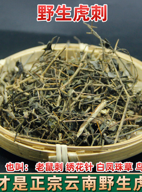 云南正宗野生虎刺 绣花针 根老鼠刺干品白凤珠草药鸟不宿中药材