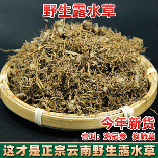 云南野生露水草 鸡冠参 换肺草 如意草 珍珠露水草 蚌花草 中药材